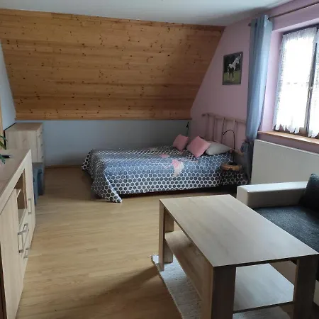 Gasthof Pod Haniperkem Vodňany