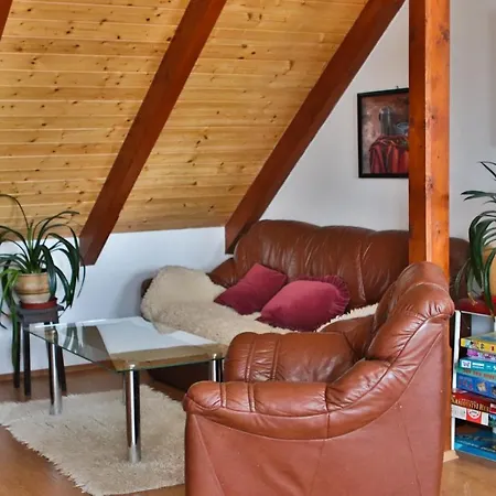 Guest house Ubytovani Pod Haniperkem Vodnany