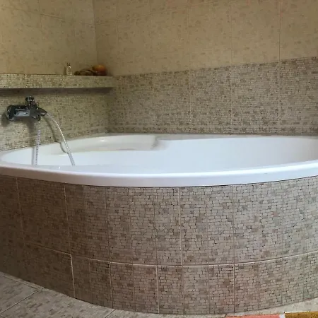 Guest house Ubytovani Pod Haniperkem Vodnany