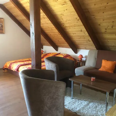 Guest house Ubytovani Pod Haniperkem Vodnany