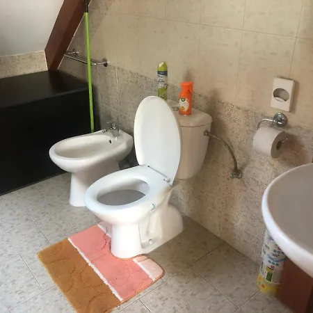 Guest house Ubytovani Pod Haniperkem Vodnany