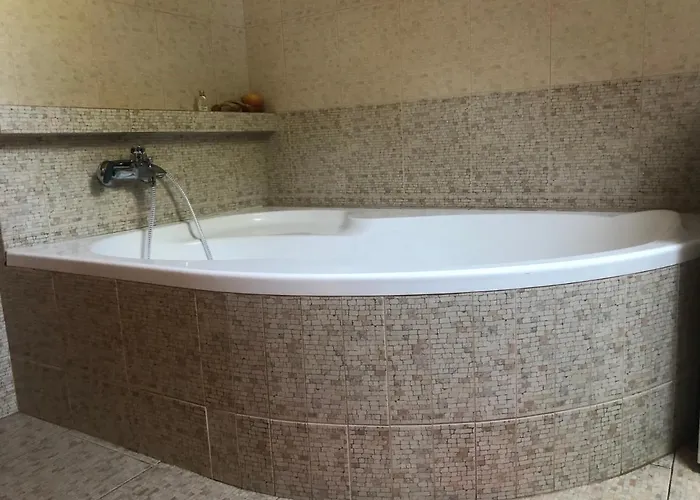 Πανσιόν Ubytovani Pod Haniperkem Vodňany