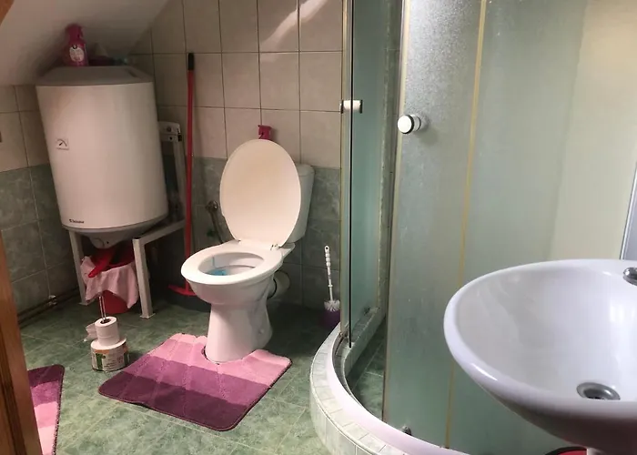 Πανσιόν Ubytovani Pod Haniperkem 3*