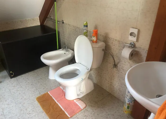 招待所 Ubytovani Pod Haniperkem Vodňany