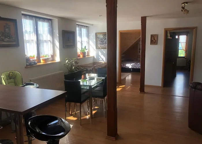 Πανσιόν Ubytovani Pod Haniperkem Vodňany